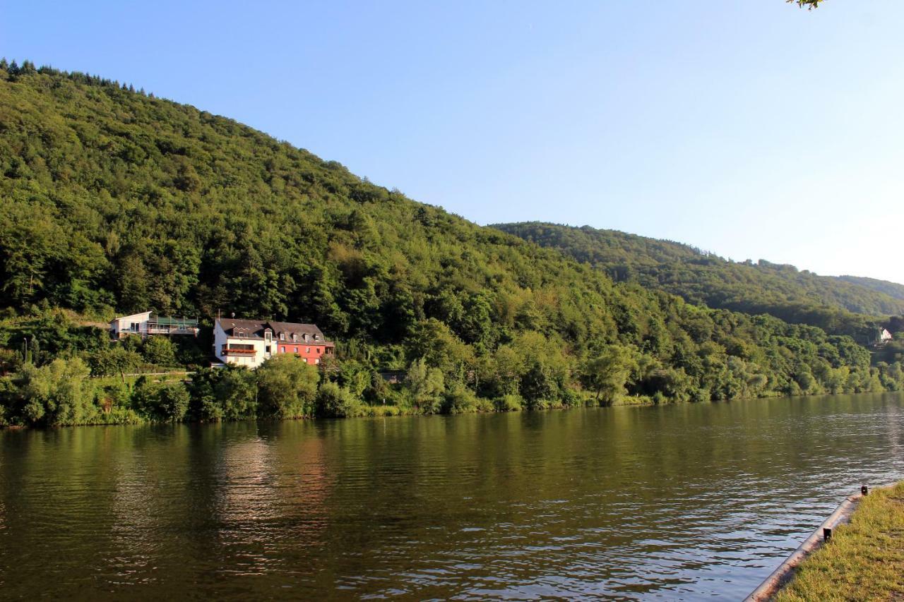 Ferienwohnung Moselblick Bernkastel-Kues Zewnętrze zdjęcie